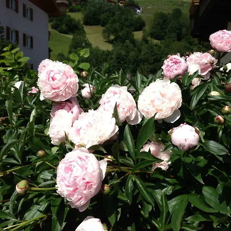 Guest house Gaestehaus Anna *